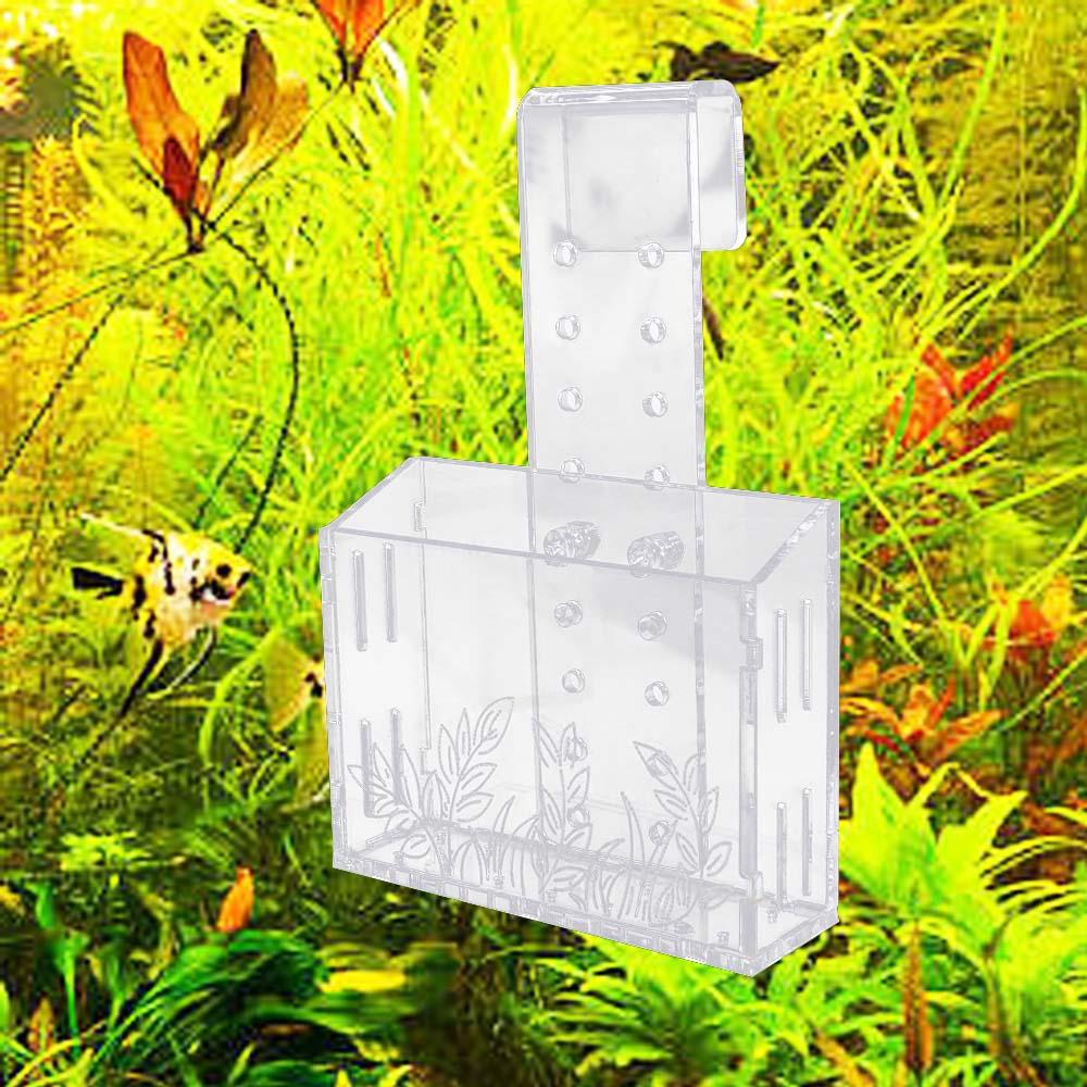 Aquarium Planted Wall - Duvara Asılan Akvaryum Bitki Kabı Şeffaf