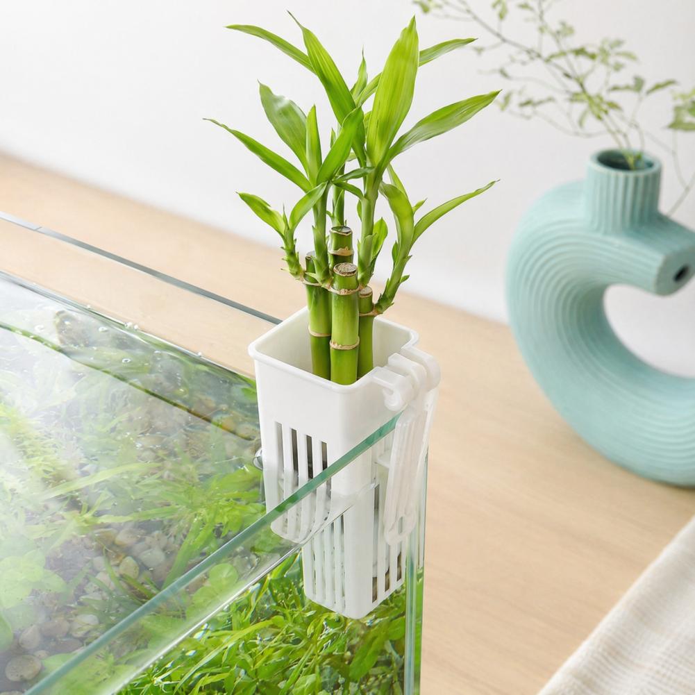 Aquarium Planted Wall - Tank Bitki Kabı Hidroponik Bardak Bitki