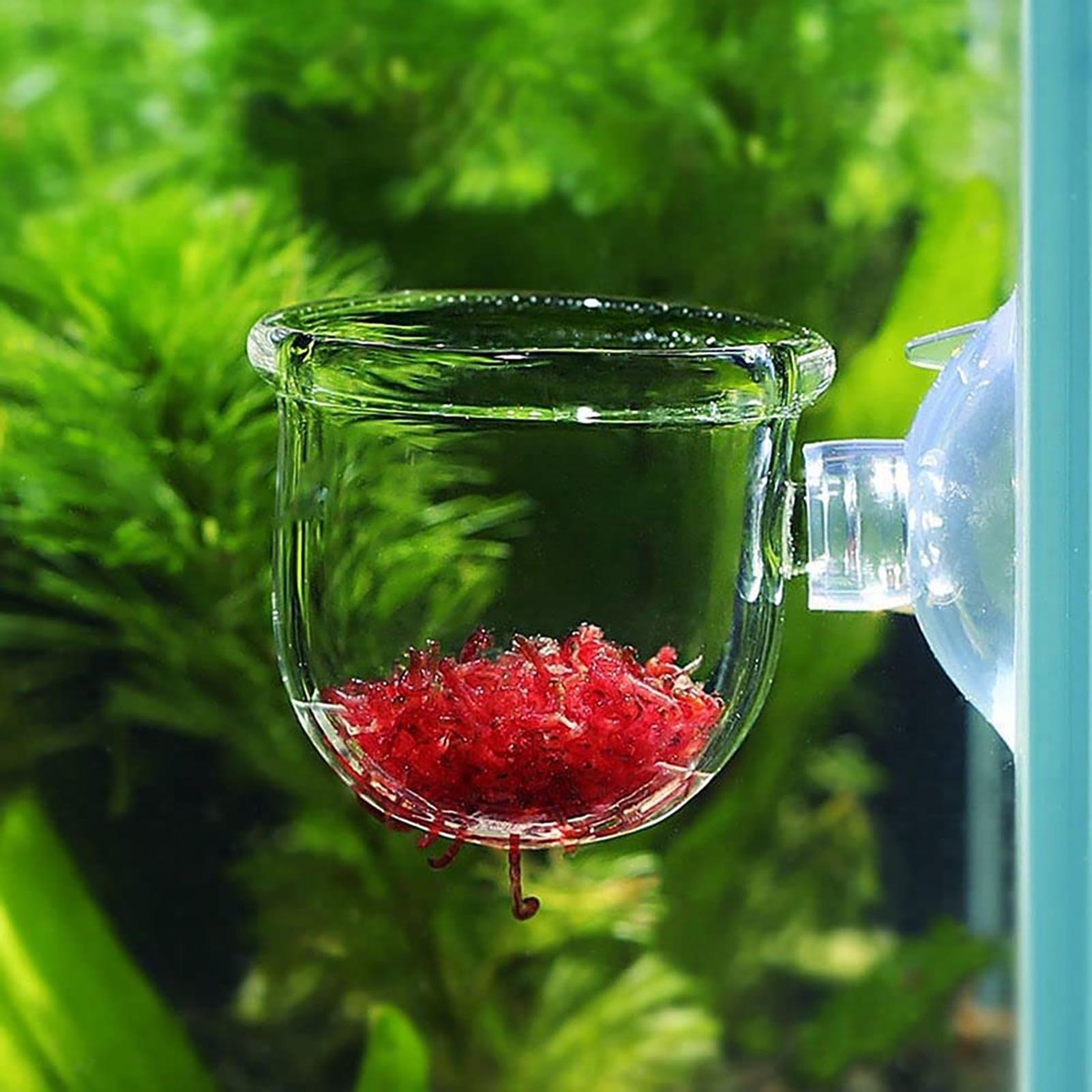 Aquarium Planted Seeds - Akvaryum saksı cam silindir bardak vantuzlu