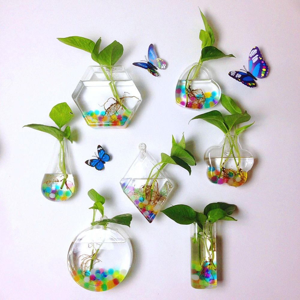 Aquarium Planted Wall - Koni Şeklinde Duvara Asılan Vazo Şeffaf