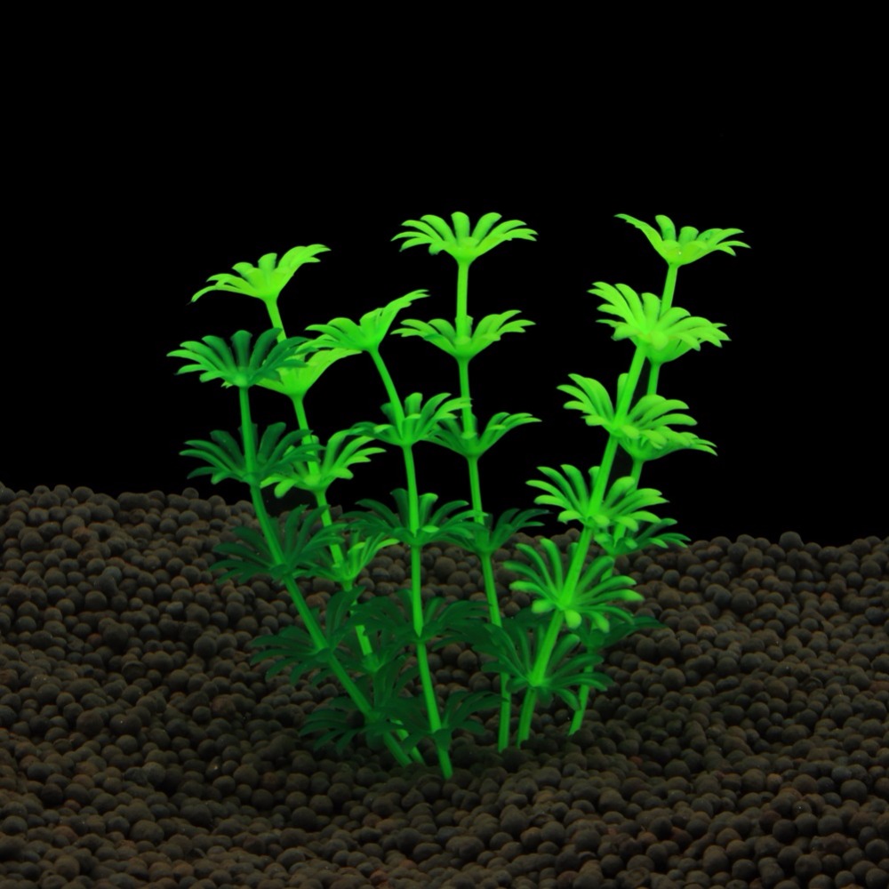 Planted Aquarium Bowl - Balık Tankı Süs Bitki Akvaryum Yapay