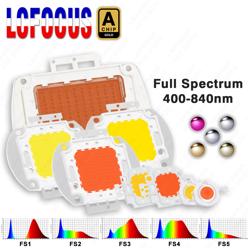 Aquarium Planted Seeds - 1W 3W 5W 10W 20W 30W