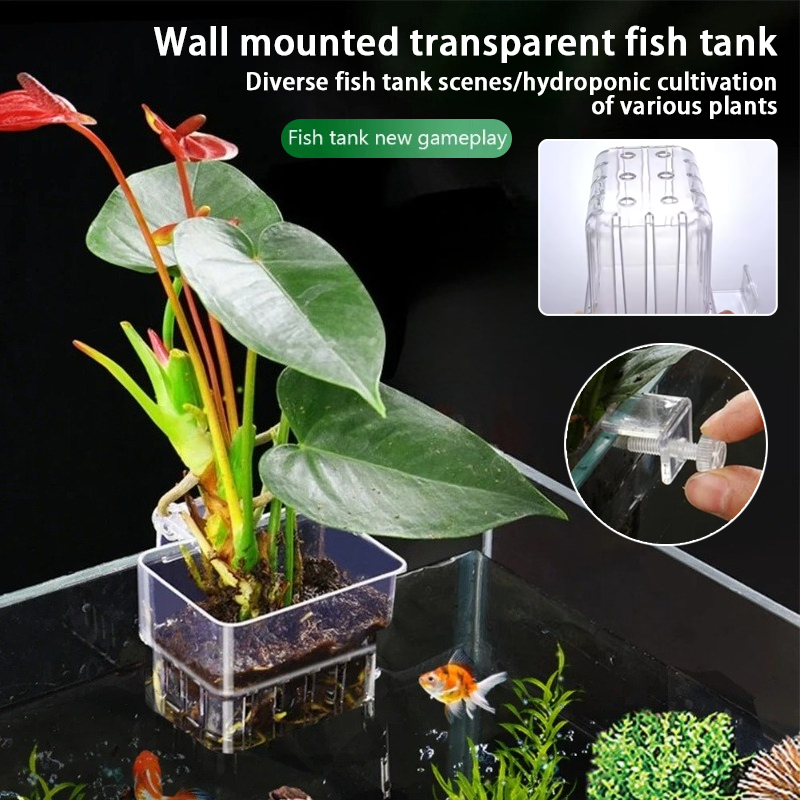 Aquarium Planted Wall - Akvaryum Asma Saksıları Duvara Monte Edilen