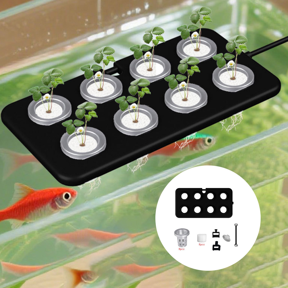 Aquarium Planted Wall - Su Üzerinde Yüzen Dikim Tahtası Dikim