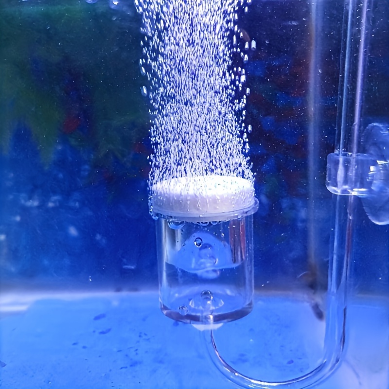 Aquarium Plant Order - Akvaryum Cam CO2 Atomizer Difüzör Kabarcık