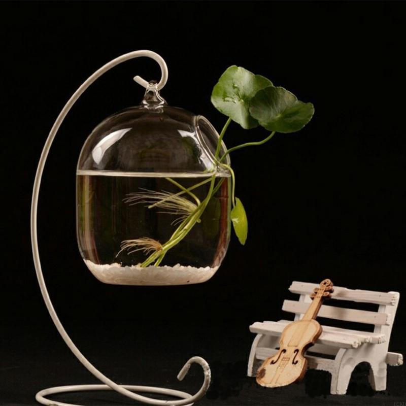 Planted Aquarium Bowl - 62kd Askılı Şeffaf Asma Balık İnfüzyon
