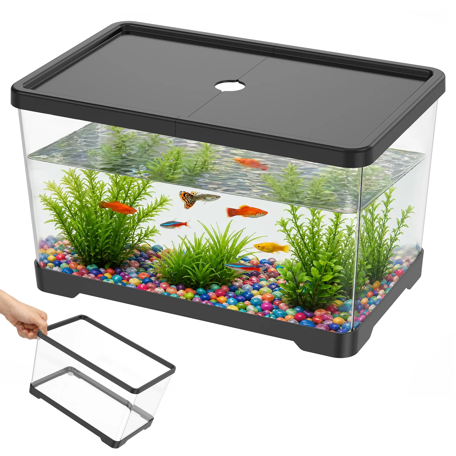 Planted Aquarium Bowl - Şeffaf Balık Tankı Akvaryumu, Kapaklı Masaüstü