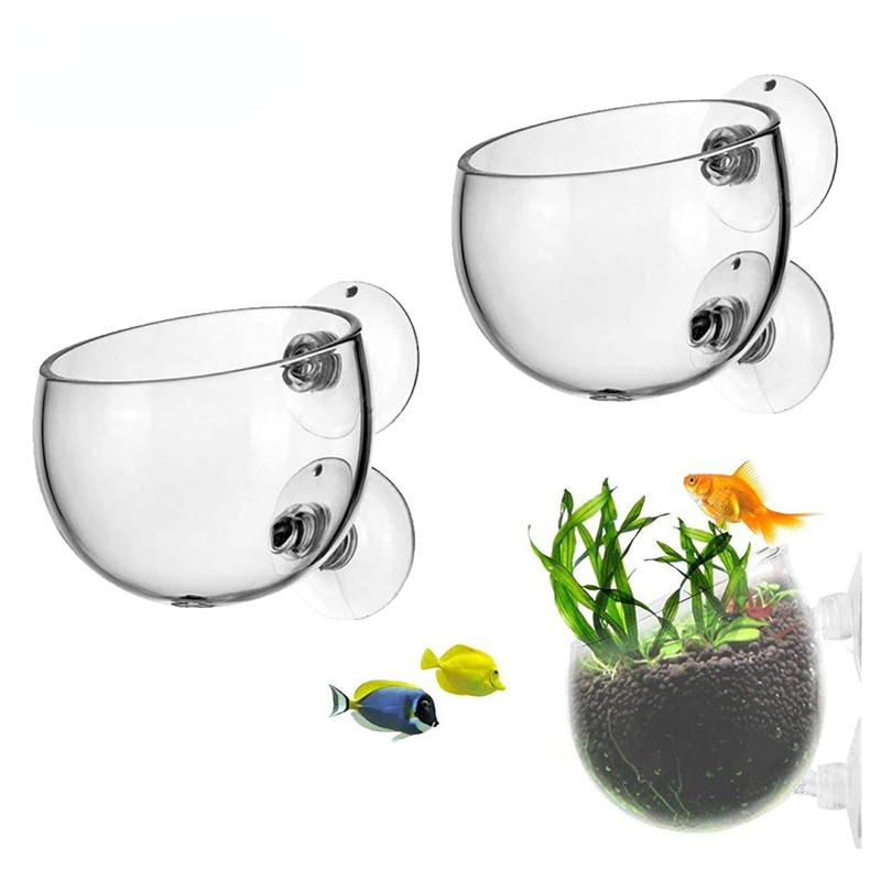 Aquarium Planted Seeds - Yeni Akvaryum Bitki Saksısı Cam Silindir