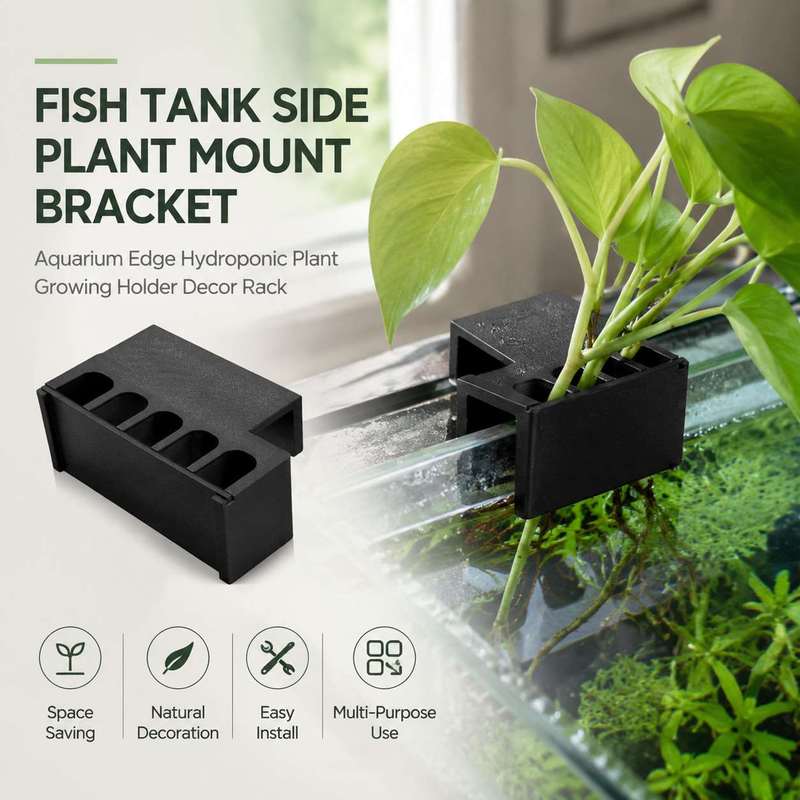 Aquarium Plant Growing - Balık Tankı Yan Bitki Montaj Braketi