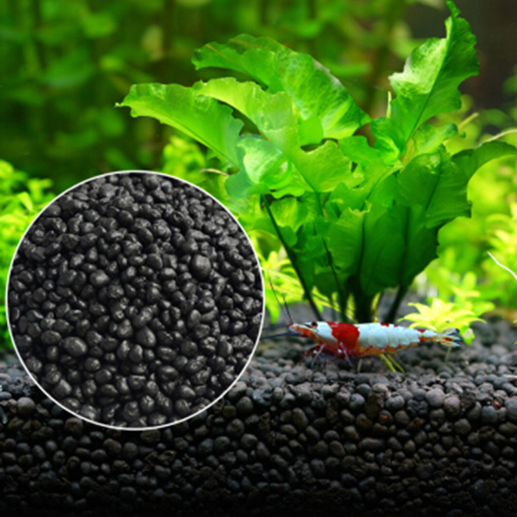 Aquarium Plant Order - Akvaryum bitki tohumları toprak balık tankı