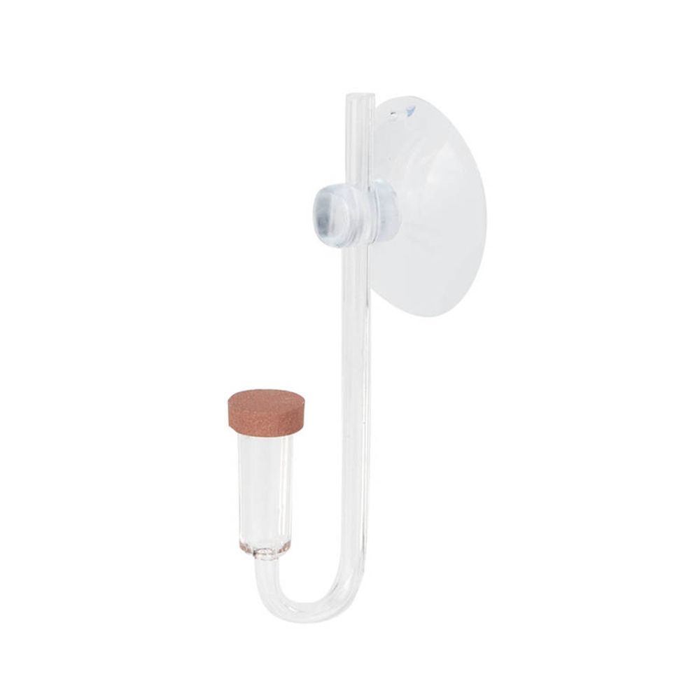 Aquarium Plant Order - Akrilik Mini Balık Tankı Canlı Bitki