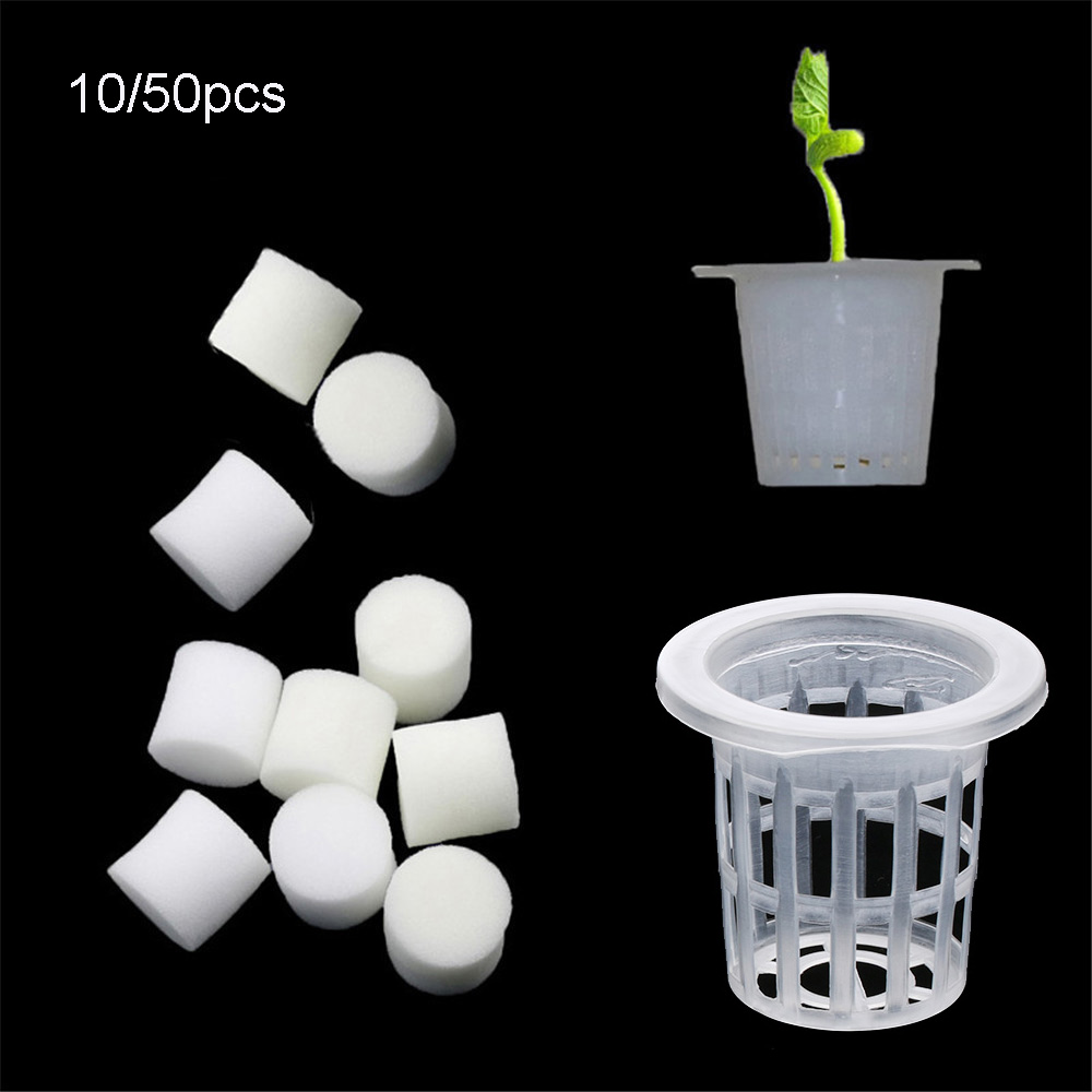 Aquarium Planted Seeds - 10/50 adet Dayanıklı Dikim Akvaryumu Topraksız