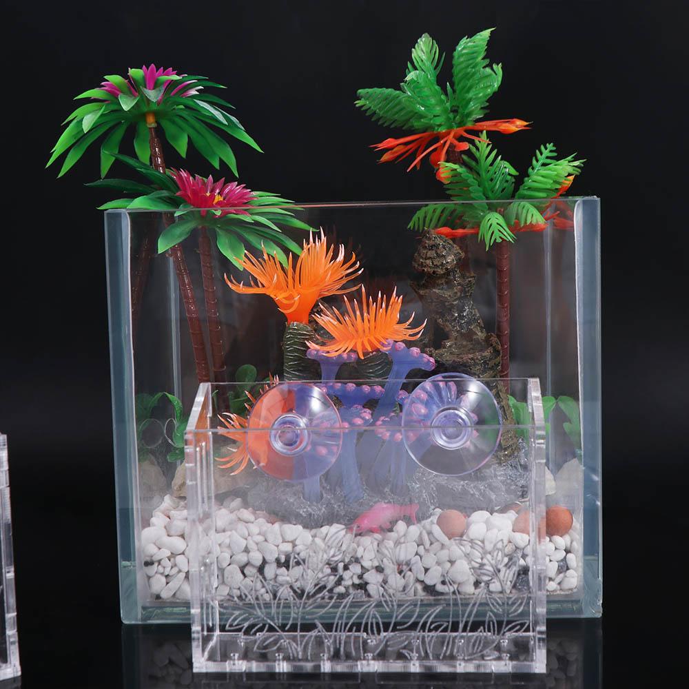 Duvara Asılan Akvaryum Bitki K - Aquarium Planted Wall incelemesi ve fiyatı