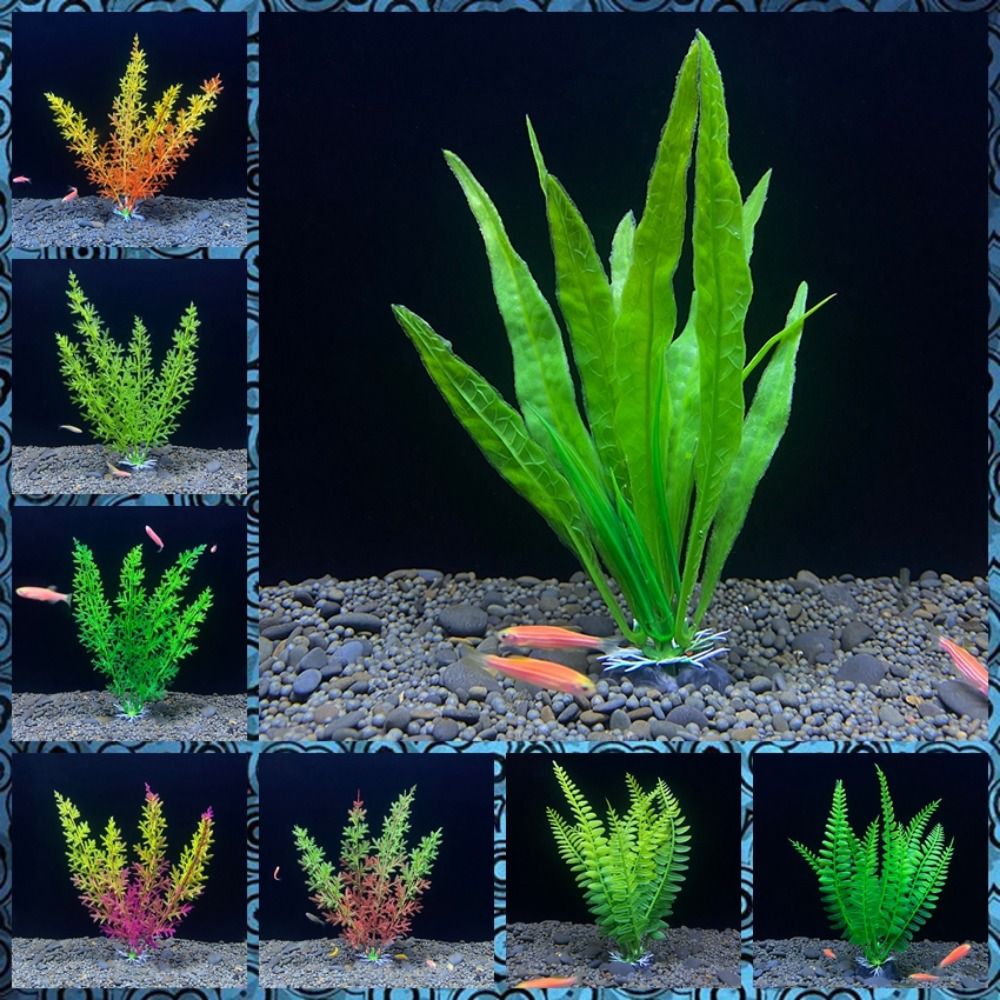 Balık tankı süs bitki akvaryum - Planted Aquarium Bowl incelemesi ve fiyatı