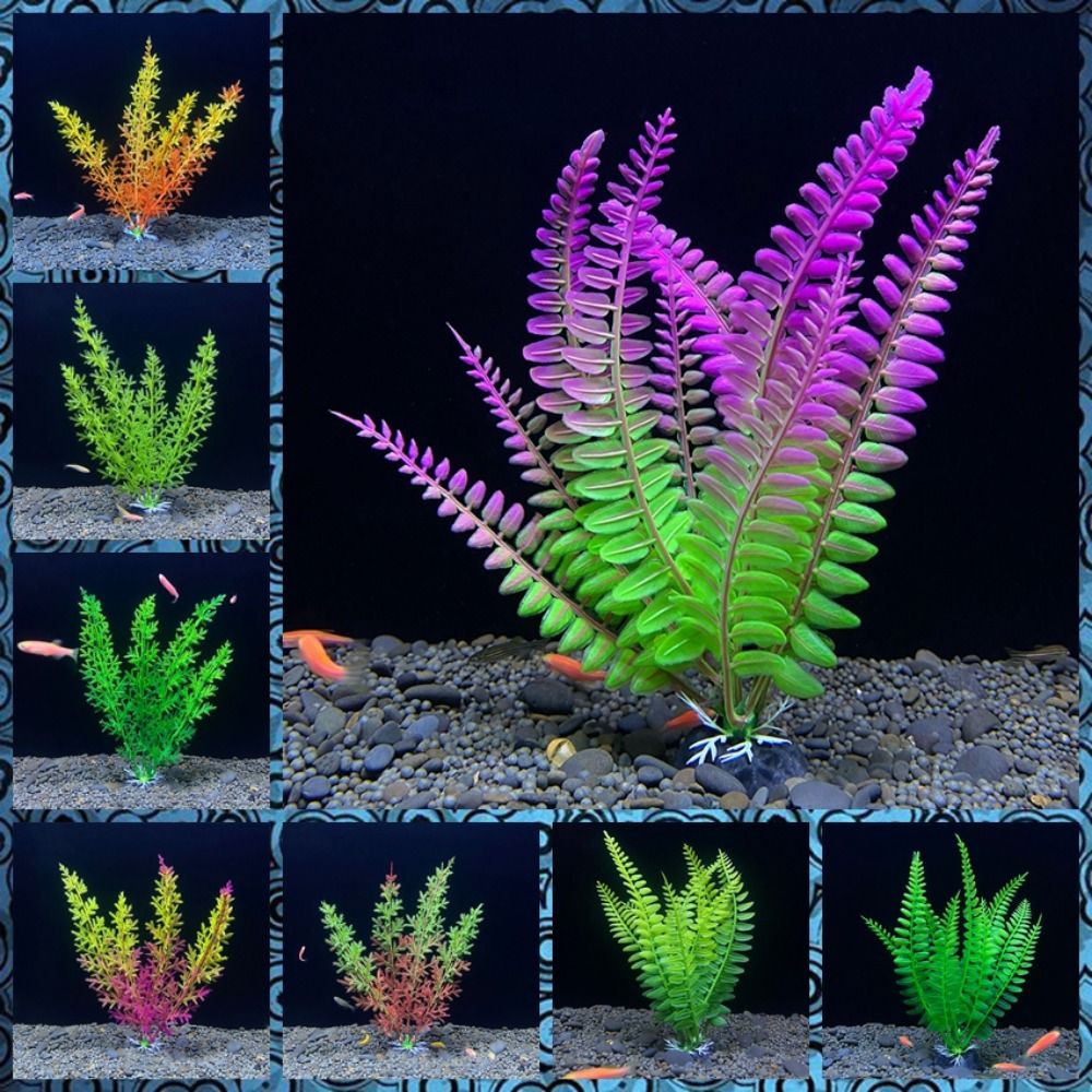 Balık tankı süs bitki akvaryum - Planted Aquarium Bowl incelemesi ve fiyatı