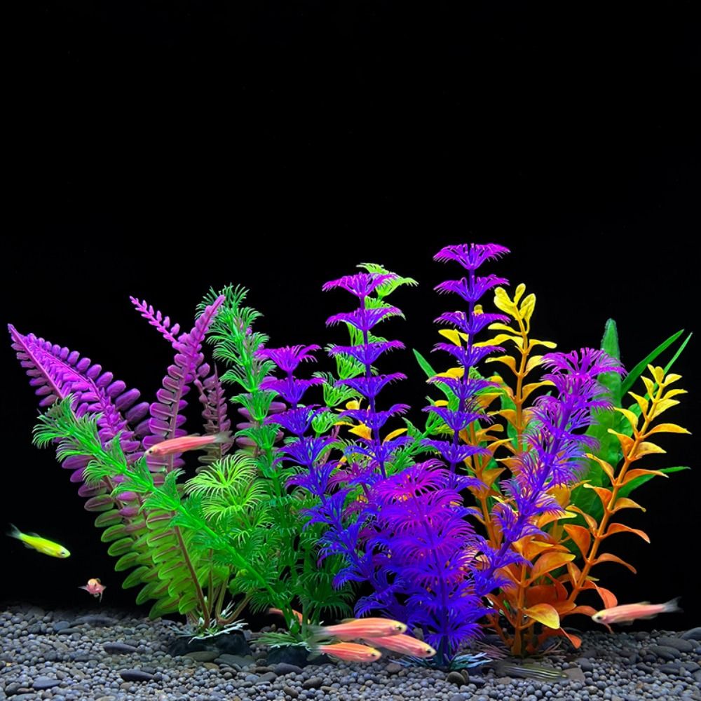 Balık tankı süs bitki akvaryum - Planted Aquarium Bowl incelemesi ve fiyatı
