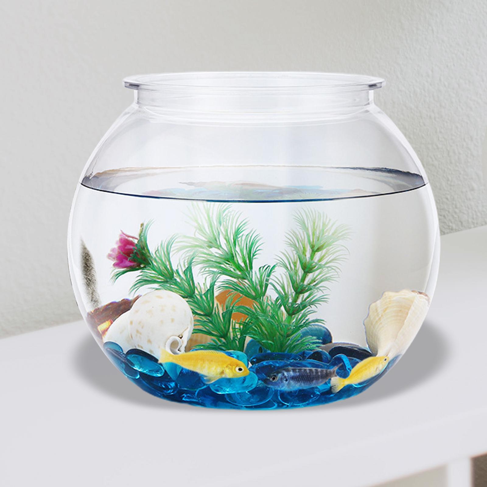 Şeffaf küçük balık tankı dekor - Planted Aquarium Bowl incelemesi ve fiyatı