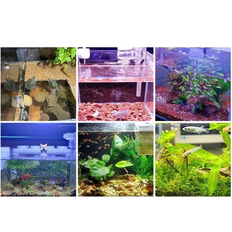 Küçük Akvaryum Balık Tankı Işı - Planted Aquarium Bowl incelemesi ve fiyatı