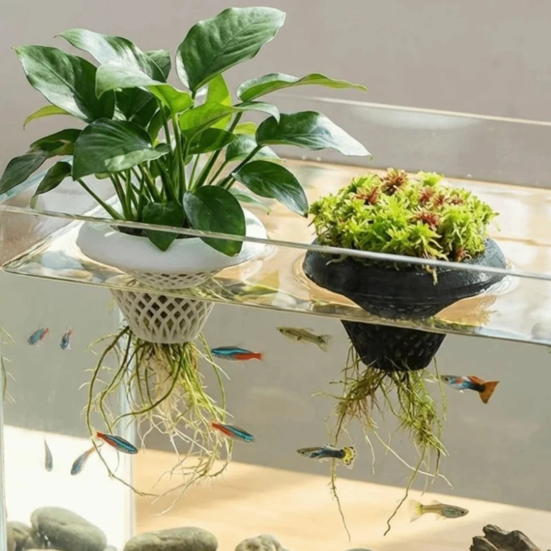 Yüzen Akvaryum Bitki Saksısı,  - Aquarium Plant Growing incelemesi ve fiyatı