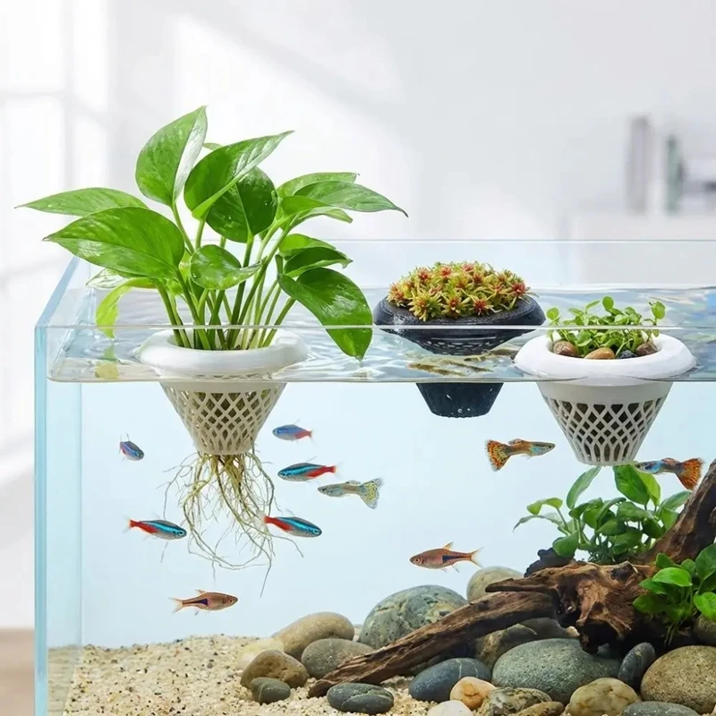 Yüzen Akvaryum Bitki Saksısı,  - Aquarium Plant Growing incelemesi ve fiyatı