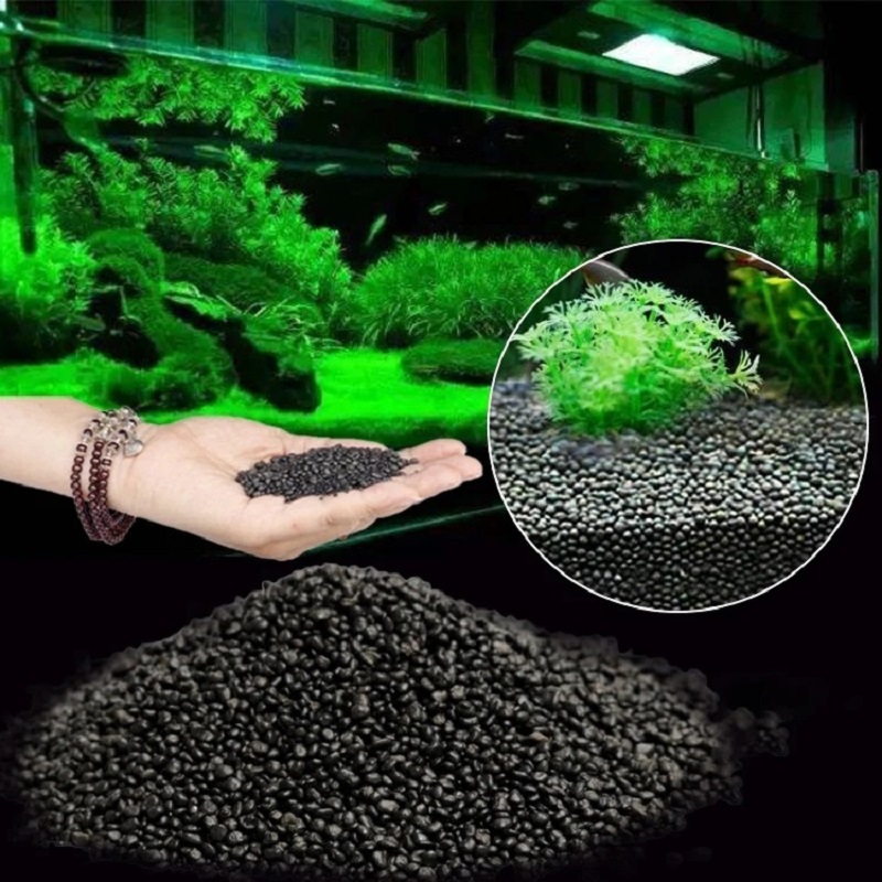 Balık Tankı Su Çim Çamur Bitki - Aquarium Planted Seeds incelemesi ve fiyatı