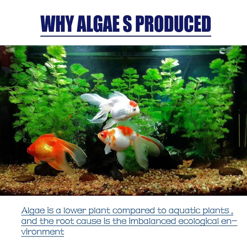50g Yüksek Etkili Alg İlacı, A - Aquarium Plant Order incelemesi ve fiyatı