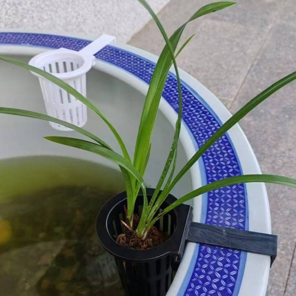 Duvara Monte Edilen Akvaryum B - Aquarium Planted Wall incelemesi ve fiyatı