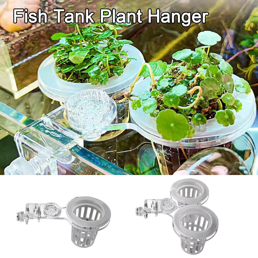 Akvaryum Bitki Tutucu Duvara M - Aquarium Planted Wall incelemesi ve fiyatı