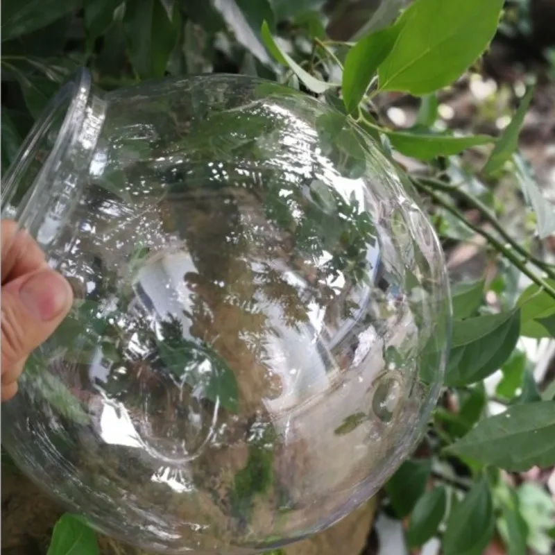 Akvaryum balığı kase masaüstü  - Planted Aquarium Bowl incelemesi ve fiyatı