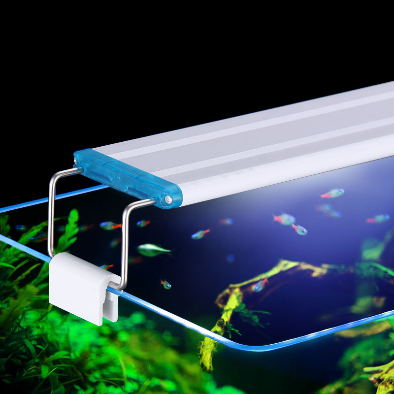 Balık tankı için genişletilebi - Aquarium Plant Order incelemesi ve fiyatı
