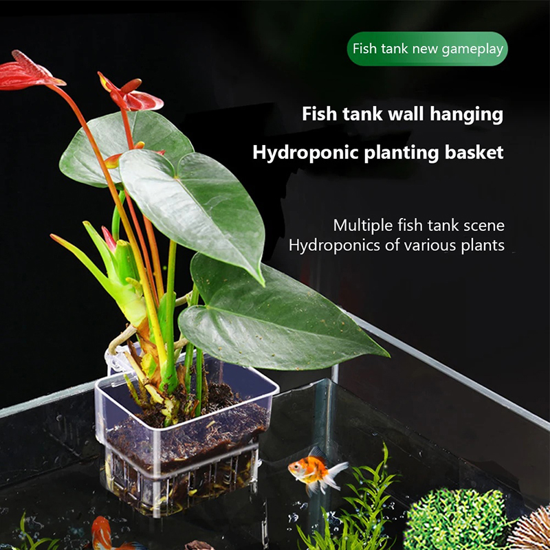 Yeni【Asılı Akvaryum Ekici Bard - Aquarium Planted Wall incelemesi ve fiyatı