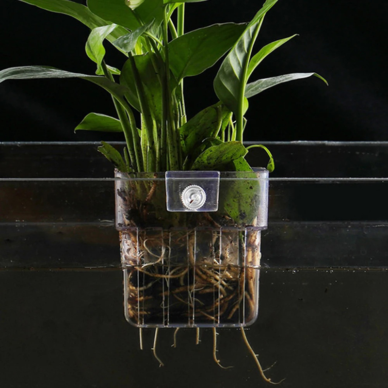 Yeni【Asılı Akvaryum Ekici Bard - Aquarium Planted Wall incelemesi ve fiyatı