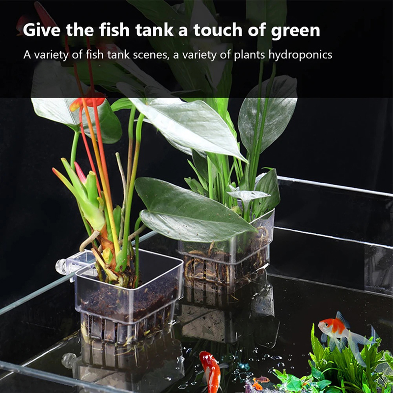 Yeni【Asılı Akvaryum Ekici Bard - Aquarium Planted Wall incelemesi ve fiyatı