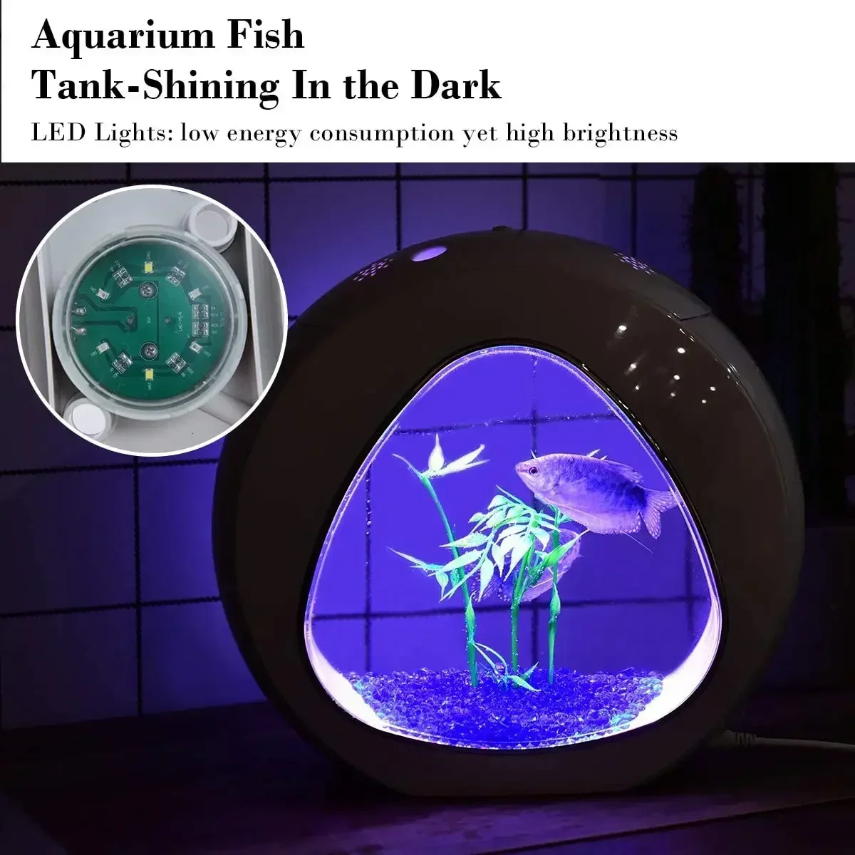 Betta Balık Tankı, LED Işıklı  - Planted Aquarium Bowl incelemesi ve fiyatı
