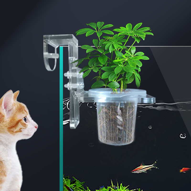Balık Tankı Dikim Bardak Topra - Aquarium Planted Wall incelemesi ve fiyatı