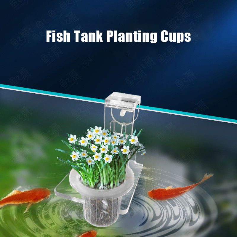 Balık Tankı Dikim Bardak Topra - Aquarium Planted Wall incelemesi ve fiyatı