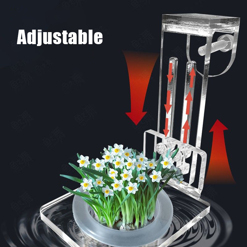 Balık Tankı Dikim Bardak Topra - Aquarium Planted Wall incelemesi ve fiyatı