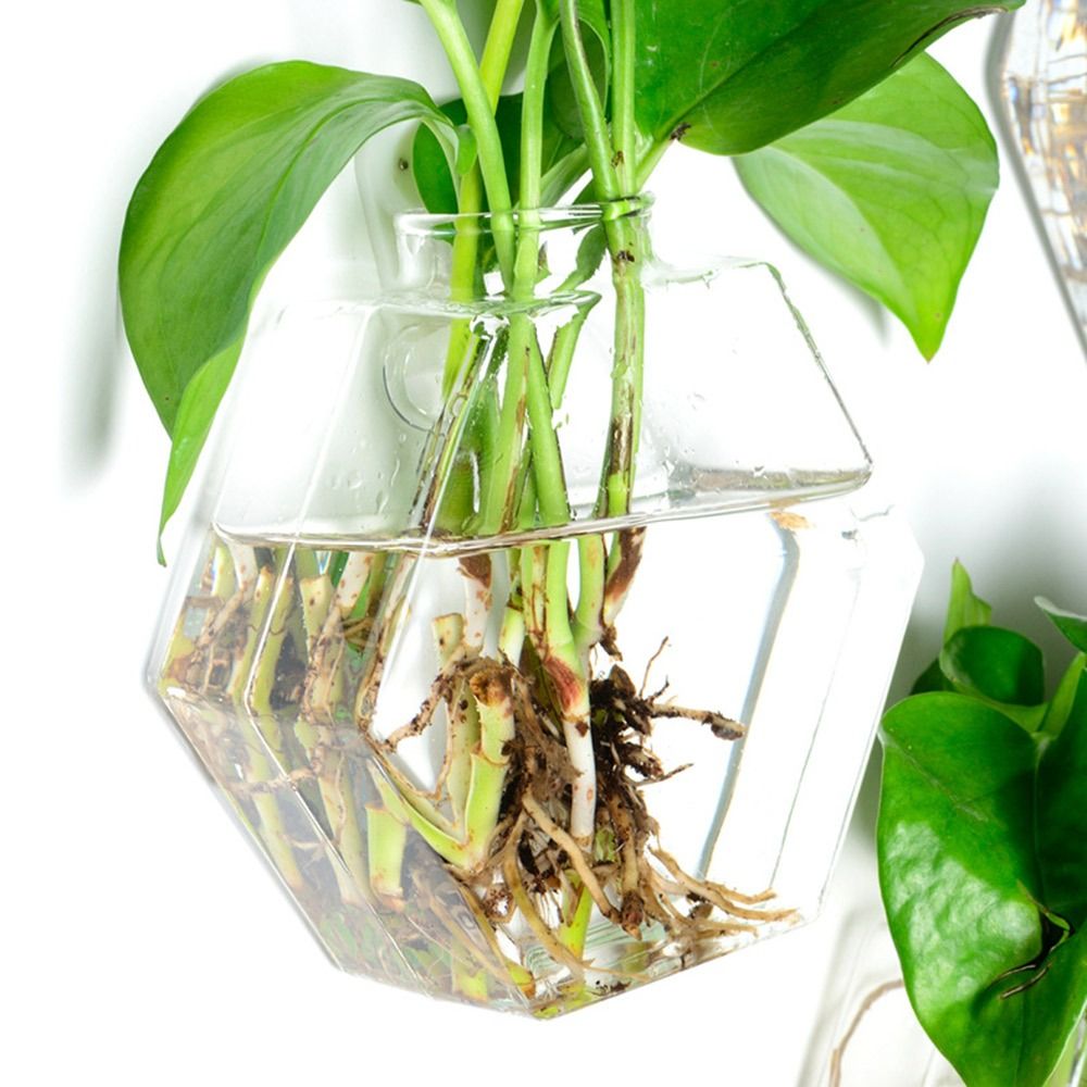 Koni Şekli Duvar Asılı Vazo To - Aquarium Planted Wall incelemesi ve fiyatı