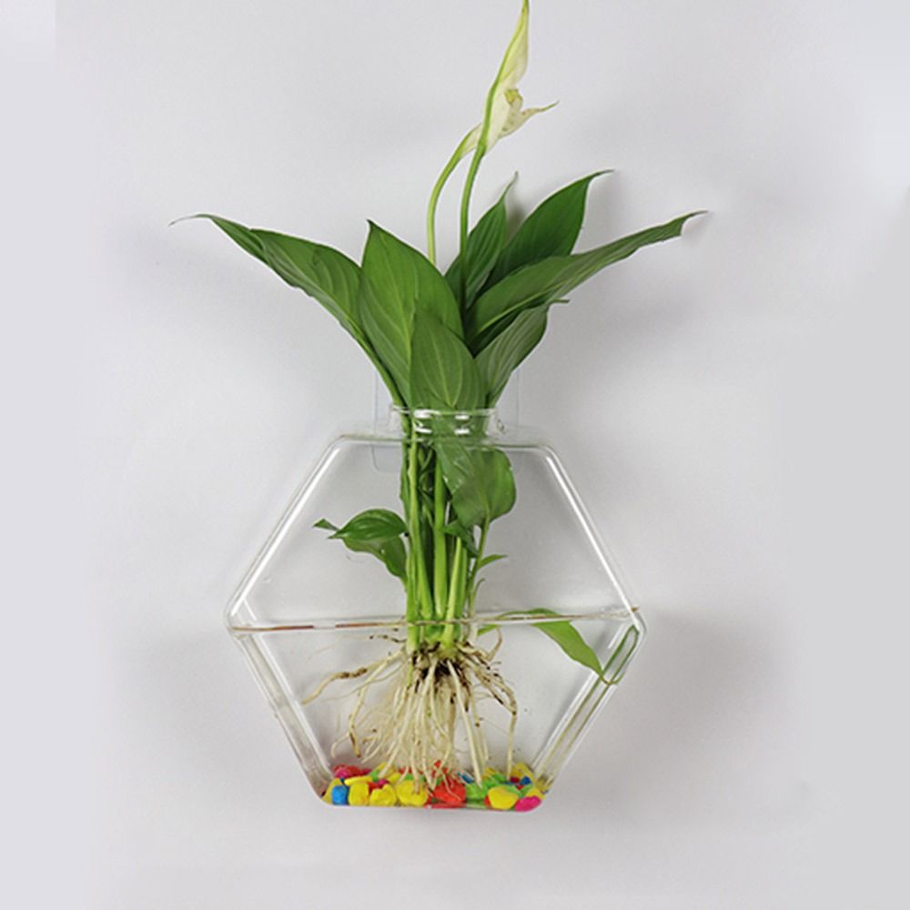 Koni Şekli Duvar Asılı Vazo To - Aquarium Planted Wall incelemesi ve fiyatı