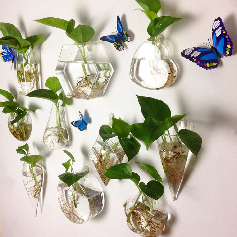 Koni Şekli Duvar Asılı Vazo To - Aquarium Planted Wall incelemesi ve fiyatı