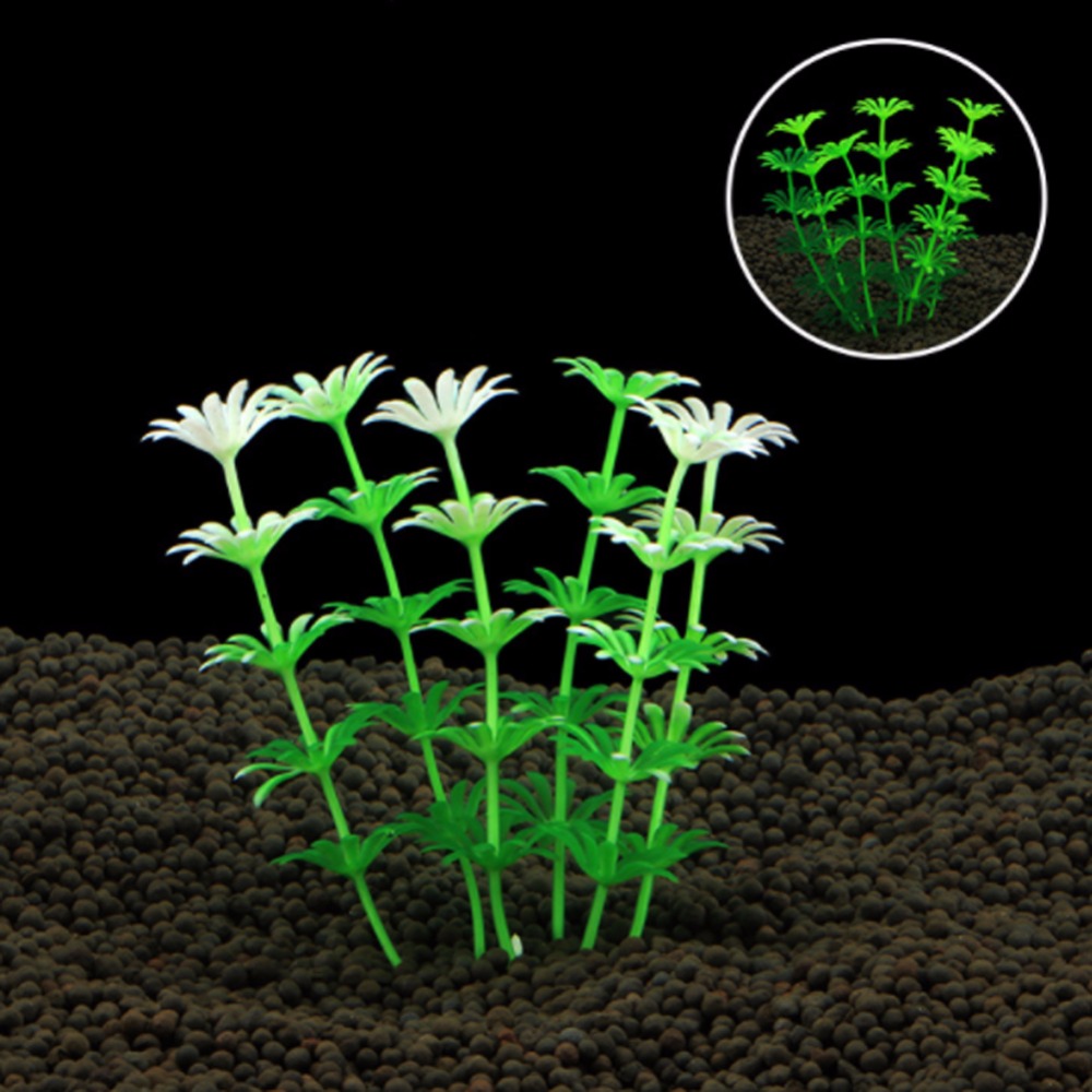 Balık Tankı Süs Bitki Akvaryum - Planted Aquarium Bowl incelemesi ve fiyatı