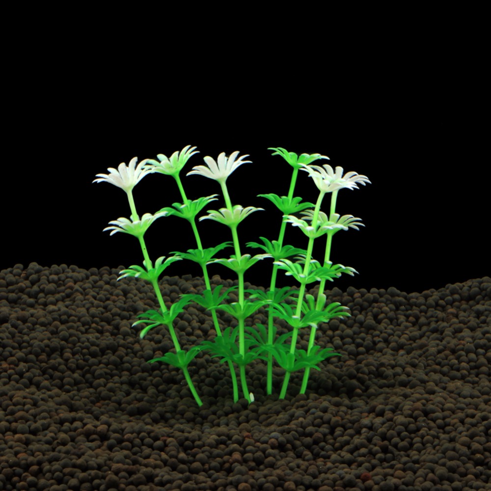 Balık Tankı Süs Bitki Akvaryum - Planted Aquarium Bowl incelemesi ve fiyatı