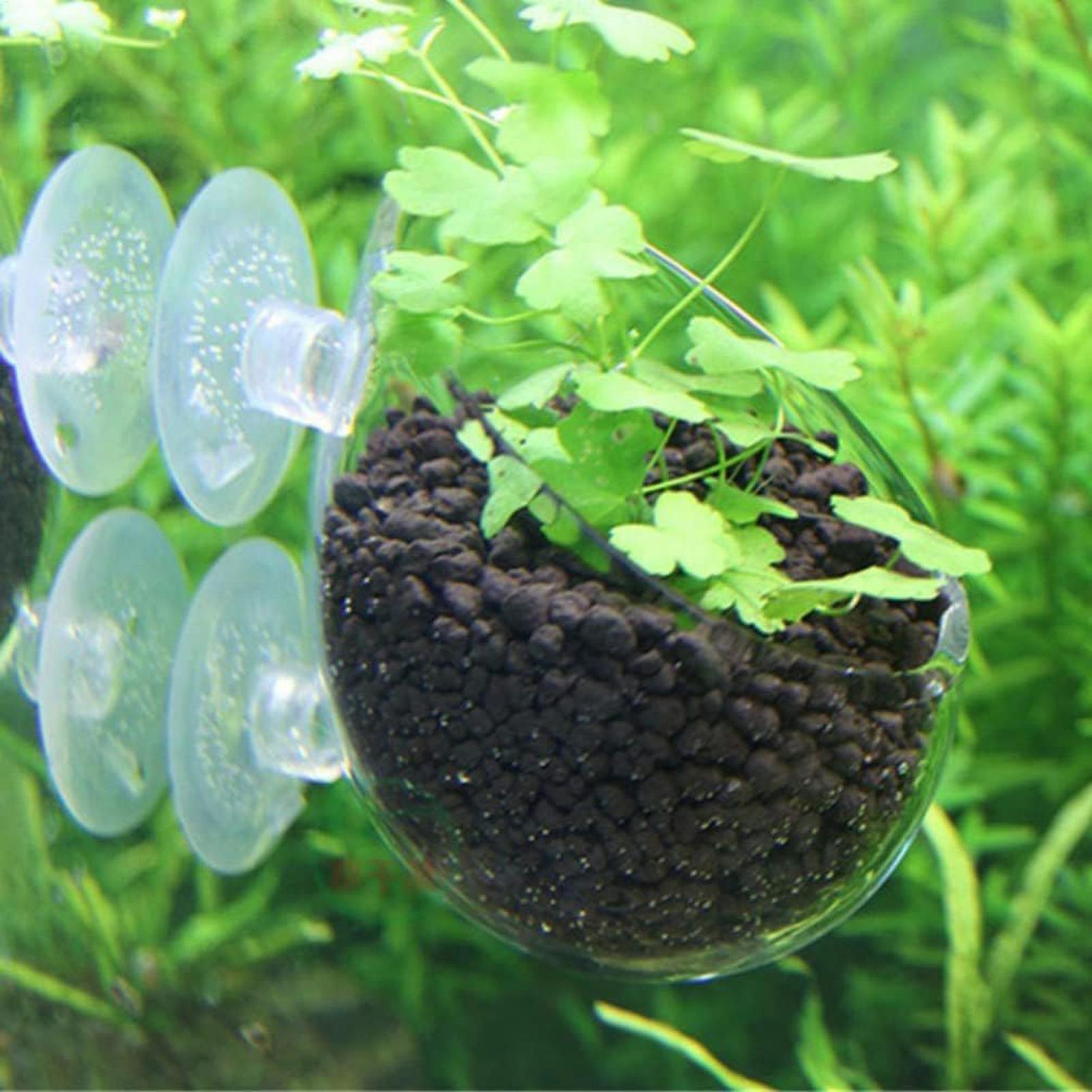 Akvaryum Bitki Tutucu Cam Su B - Aquarium Plant Growing incelemesi ve fiyatı