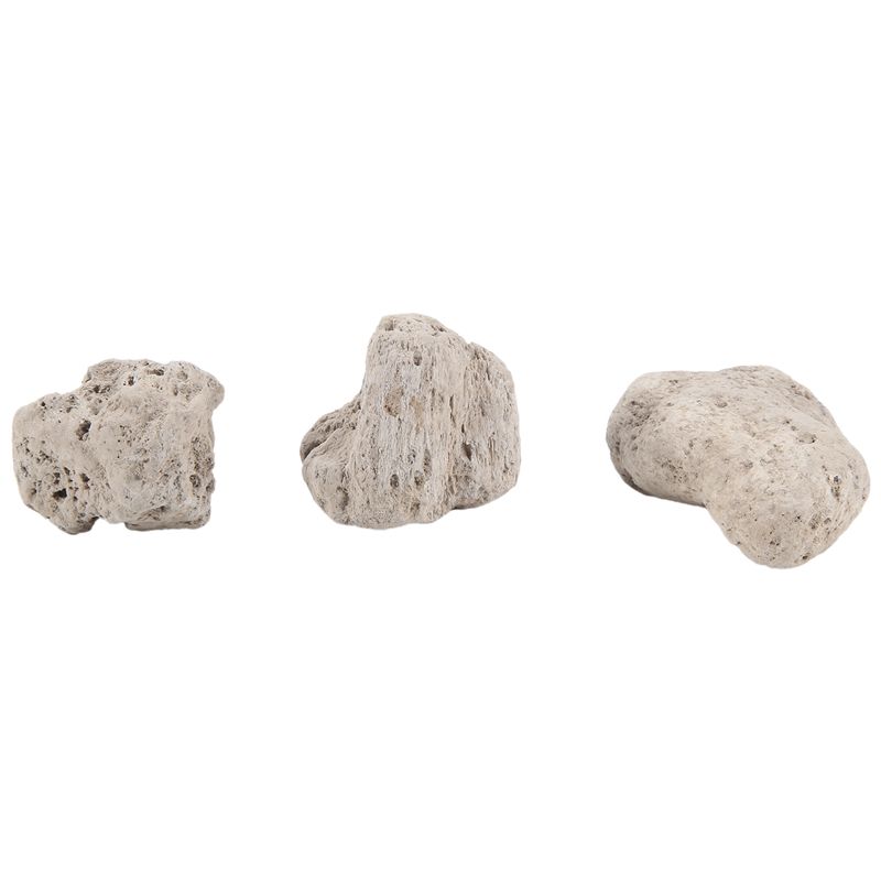 AS60-3Pcs Yüzen Gerçekçi Kayal - Planted Aquarium Models incelemesi ve fiyatı