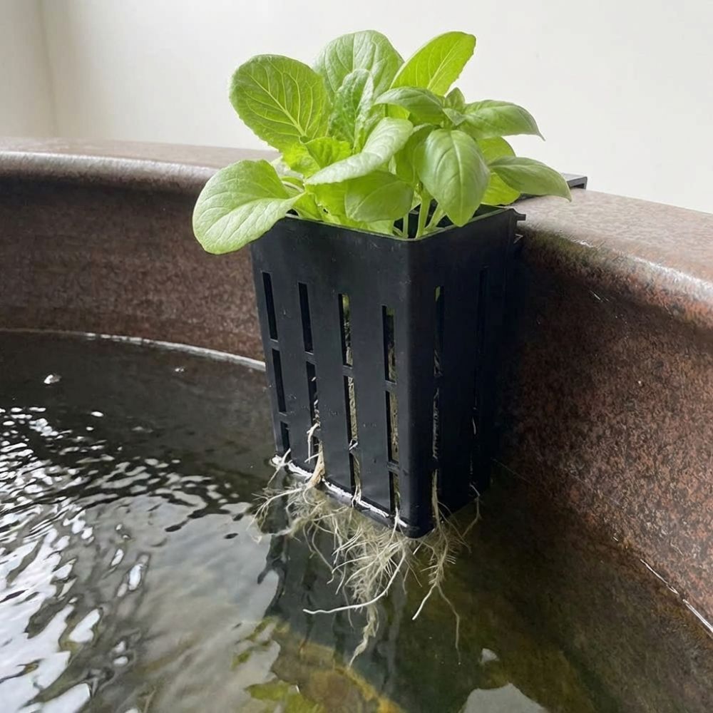 Duvara Monte Edilen Akvaryum B - Aquarium Planted Wall incelemesi ve fiyatı