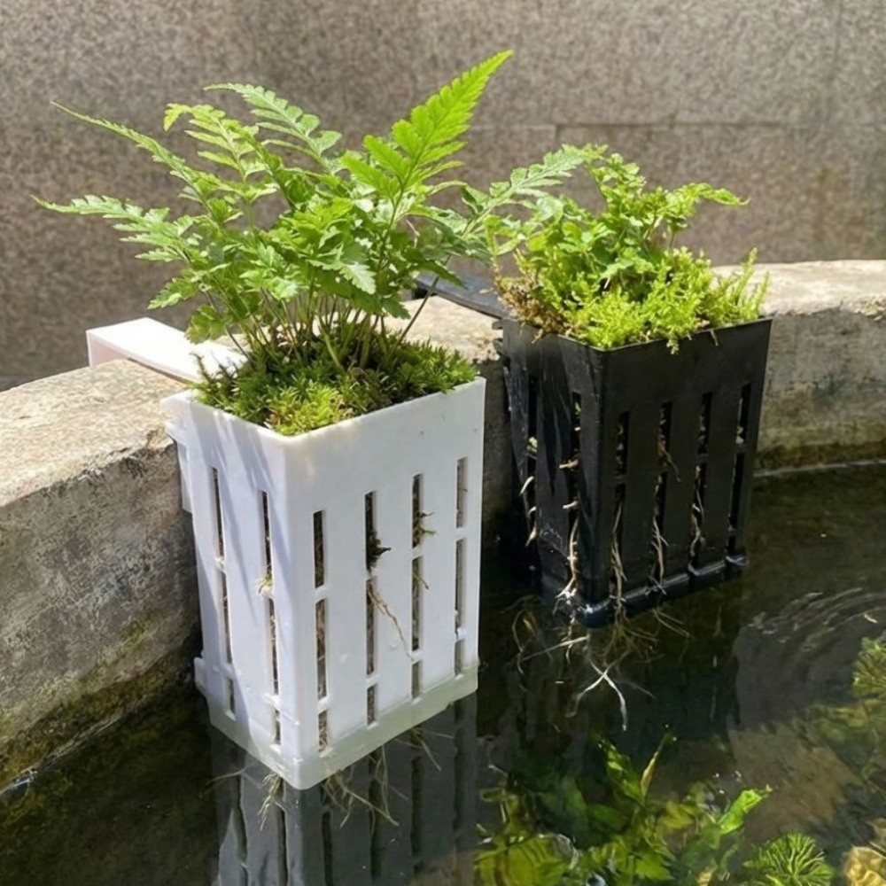 Duvara Monte Edilen Akvaryum B - Aquarium Planted Wall incelemesi ve fiyatı