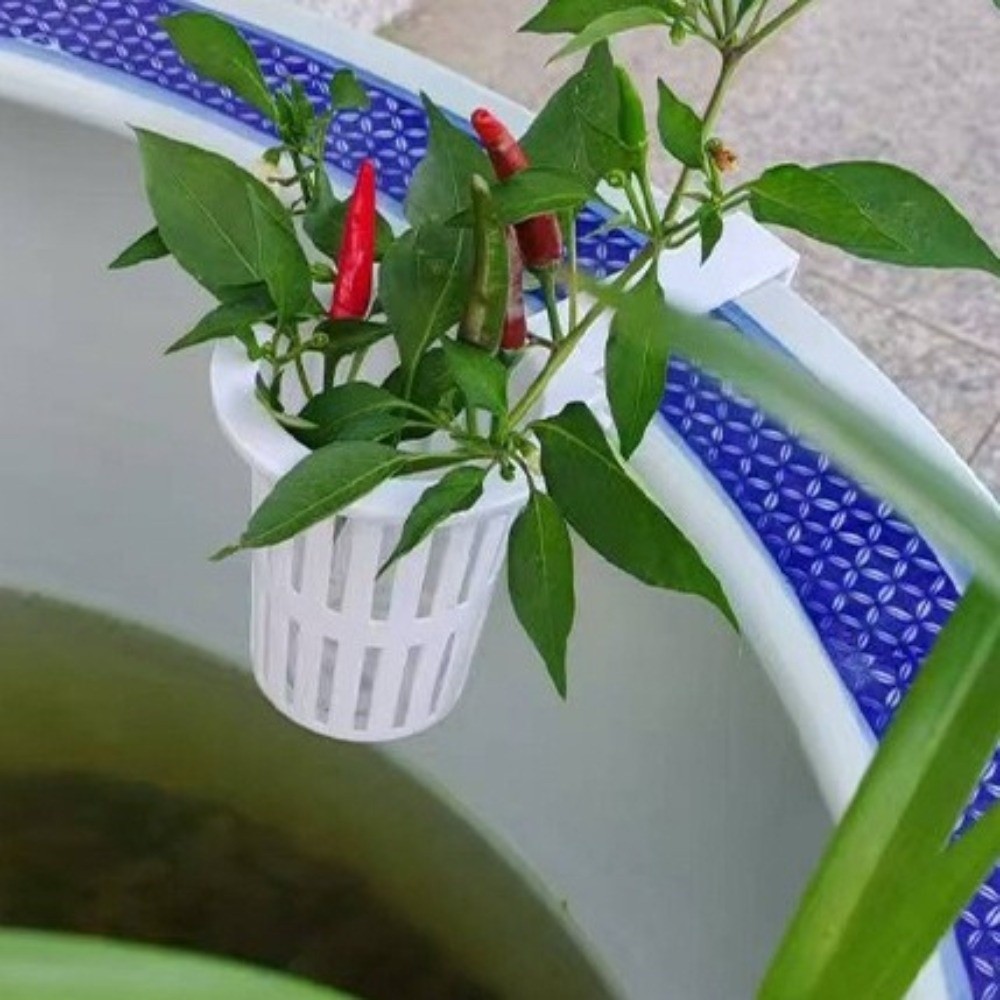 Duvara Monte Edilen Akvaryum B - Aquarium Planted Wall incelemesi ve fiyatı