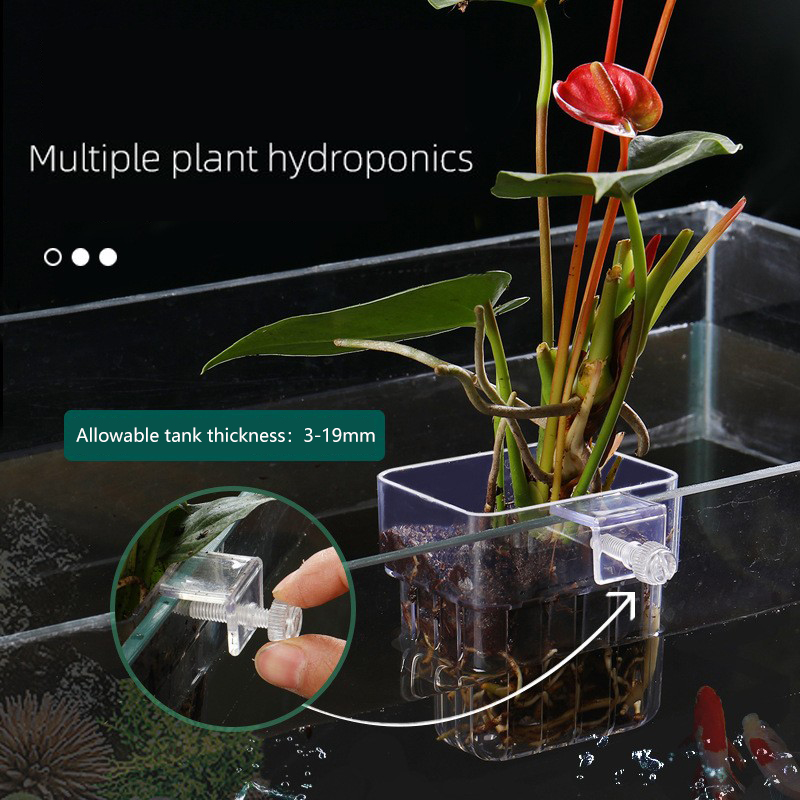 1 Adet Akvaryum Topraksız Bitk - Aquarium Planted Seeds incelemesi ve fiyatı