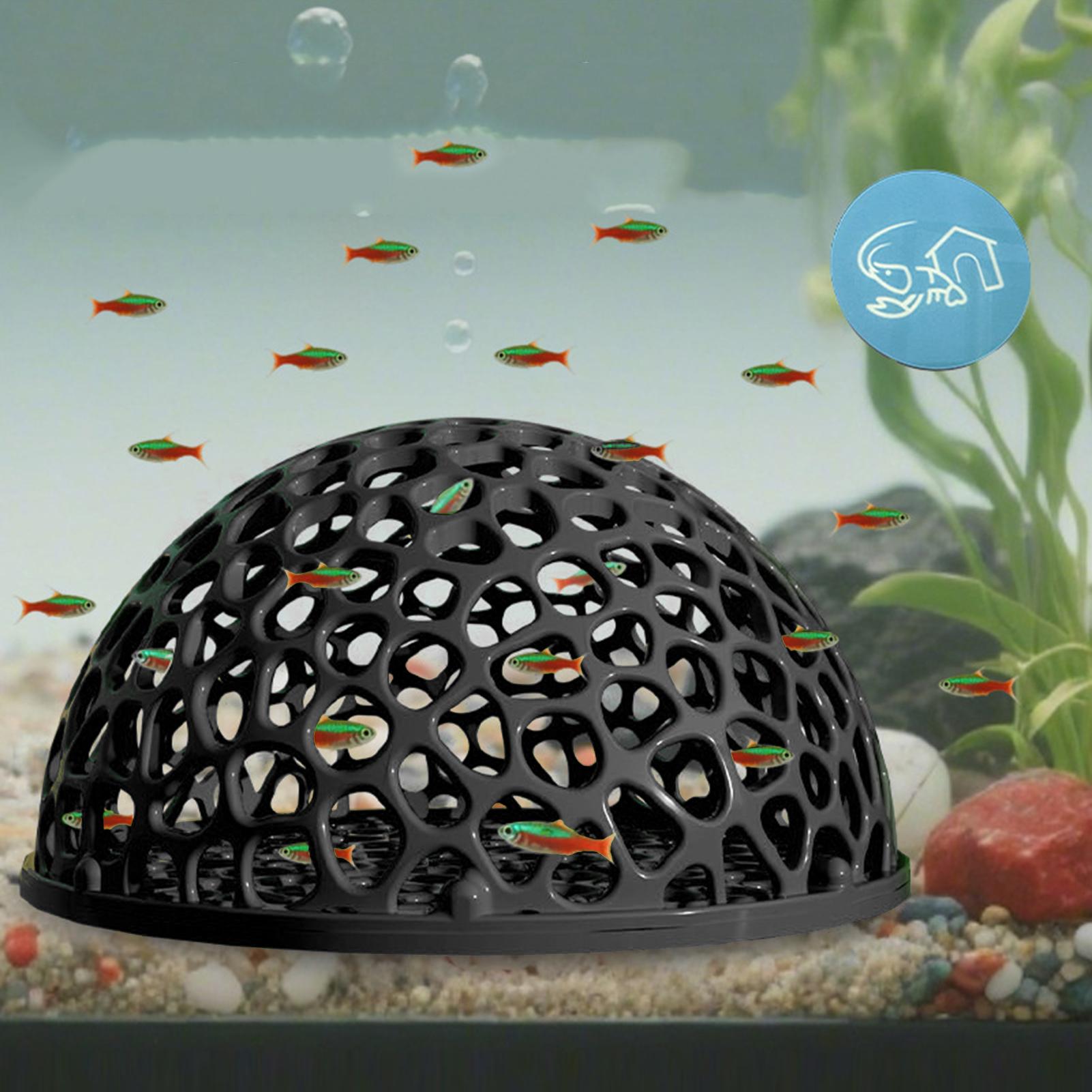 Küçük Balıklar ve Karidesler İ - Aquarium Plant Roots incelemesi ve fiyatı