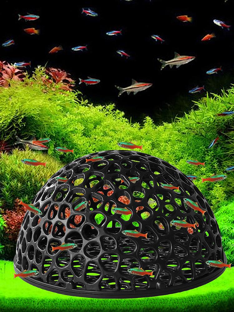 Küçük Balıklar ve Karidesler İ - Aquarium Plant Roots incelemesi ve fiyatı